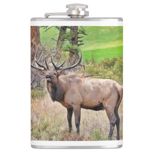 Männlicher Elk im Estes Park, Colorado im Septembe Flachmann