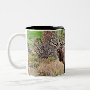 Männlicher Elk im Estes Park, Colorado im Septembe Zweifarbige Tasse
