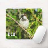 Männlicher Haussperling Ihre Initialen Mauspad (Mit Mouse)