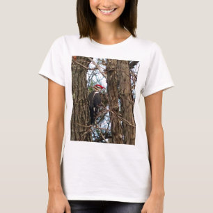 Männlicher Helmspecht T-Shirt
