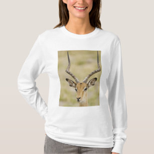 Männlicher Impala mit schönen Hörnern im weichen T-Shirt