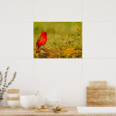 Männlicher Kardinal auf Baumstamm Poster (Küche)
