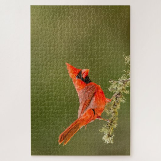 Männlicher Kardinal auf Limb Puzzle (Vertikal)