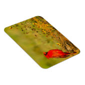 Männlicher Kardinal auf Log Magnet (Rechte Seite)