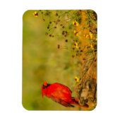 Männlicher Kardinal auf Log Magnet (Vertikal)