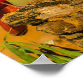 Männlicher Kardinal auf Log Poster (Ecke)