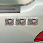 Männlicher Kardinal Autoaufkleber (Auf Auto)