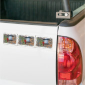 Männlicher Kardinal Autoaufkleber (Auf Lkw)