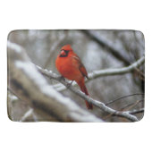 Männlicher Kardinal Badematte (Vorderseite)