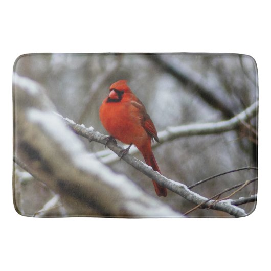 Männlicher Kardinal Badematte (Vorderseite)