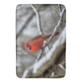 Männlicher Kardinal Badematte (Vorderseite Vertikal)