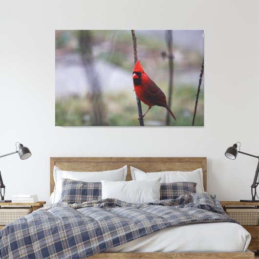 Männlicher Kardinal Bird Leinwanddruck (Insitu (Schlafzimmer))