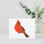 Männlicher Kardinal Bird Postkarte (Stehend Vorderseite)