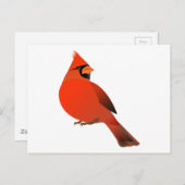 Männlicher Kardinal Bird Postkarte (Vorne/Hinten)
