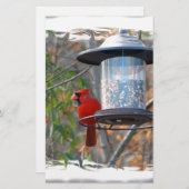 Männlicher Kardinal Briefpapier (Vorne/Hinten)