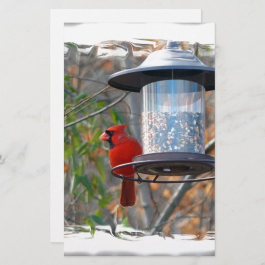 Männlicher Kardinal Briefpapier (Vorne/Hinten)