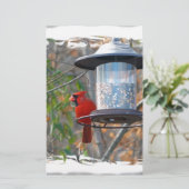 Männlicher Kardinal Briefpapier (Stehend Vorderseite)