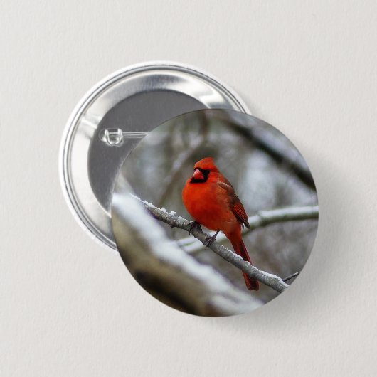 Männlicher Kardinal Button (Vorne & Hinten)