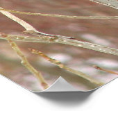 Männlicher Kardinal Canvas Print Poster (Ecke)