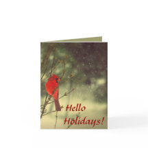 Männlicher Kardinal