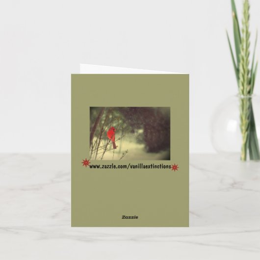 Männlicher Kardinal Feiertagskarte (Rückseite)