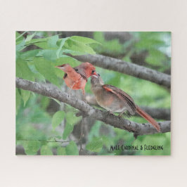 Männlicher Kardinal & Fledgling, Vogelliebhaber Puzzle