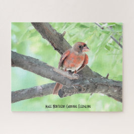 Männlicher Kardinal Fledgling, Vogelliebhaber Puzzle