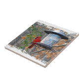 Männlicher Kardinal Fliese (Seite)