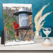 Männlicher Kardinal Fotoplatte (Seite)