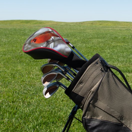 Männlicher Kardinal Golf Headcover (In SItu)