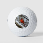 Männlicher Kardinal Golfball (Vorderseite)