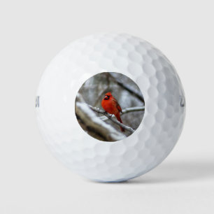 Männlicher Kardinal Golfball