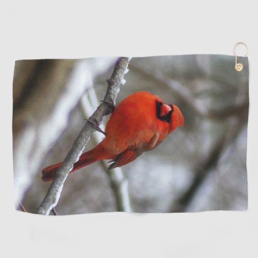 Männlicher Kardinal Golfhandtuch (Horizontal)