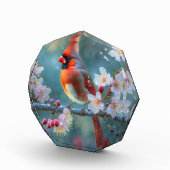 Männlicher Kardinal im Mondlicht Kirschblüten Fotoblock (Rechts)
