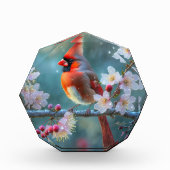 Männlicher Kardinal im Mondlicht Kirschblüten Fotoblock (Vorderseite)