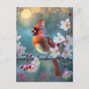 Männlicher Kardinal im Mondlicht Kirschblüten Postkarte