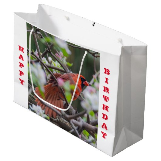 Männlicher Kardinal im Springtime Große Geschenktüte (Vorderseite Schrägansicht)