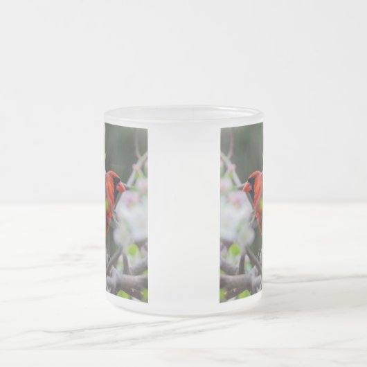 Männlicher Kardinal im Springtime Mattglastasse (Mittel)