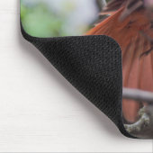 Männlicher Kardinal im Springtime Mousepad (Ecke)