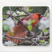 Männlicher Kardinal im Springtime Mousepad (Vorne)