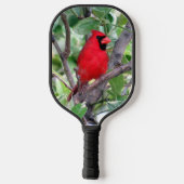 Männlicher Kardinal im Zitronenbaum Pickleball Pad Pickleball Schläger (Rückseite)
