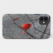 Männlicher Kardinal iPhone 5 Fall Case-Mate iPhone Hülle (Rückseite (Horizontal))