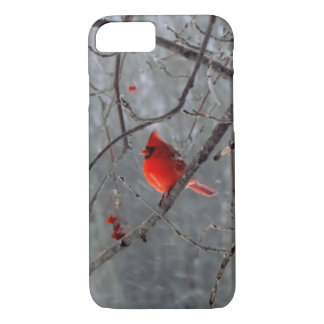 Männlicher Kardinal iPhone 7 Fall Case-Mate iPhone Hülle