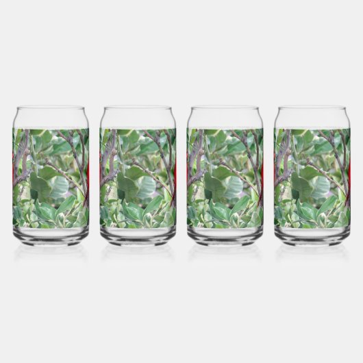 Männlicher Kardinal kann Glass — Backyard Bird-Ser Dosenglas (Links)