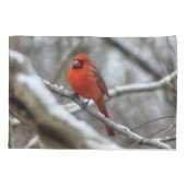 Männlicher Kardinal Kissenbezug (Rückseite)