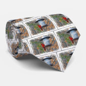 Männlicher Kardinal Krawatte (Gerollt)