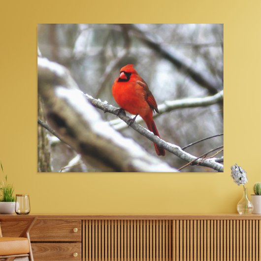 Männlicher Kardinal Leinwanddruck (Insitu (Wohnzimmer))