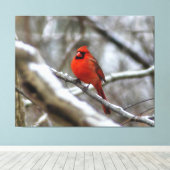 Männlicher Kardinal Leinwanddruck (Insitu (Holzboden))