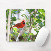 Männlicher Kardinal Mousepad (Mit Mouse)