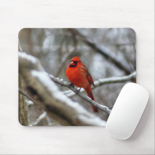 Männlicher Kardinal Mousepad